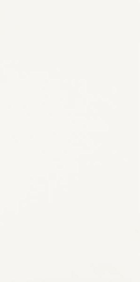 Paradyż HARMONY BIANCO SCIANA 30X60