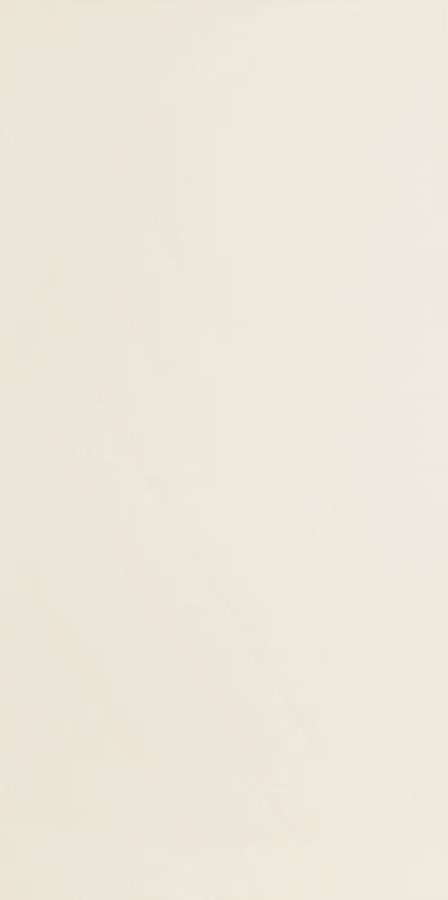 TUBĄDZIN MODERN PEARL BEIGE 59,8X29,8
