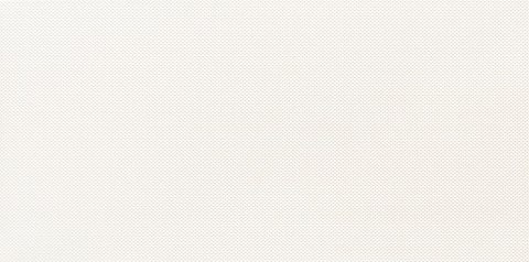 TUBĄDZIN REFLECTION WHITE 1 DEKOR 59,8X29,8 TUBĄDZIN REFLECTION WHITE 1 DEKOR 59,8X29,8
