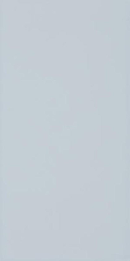 Paradyż SYNERGY BLUE SCIANA 30X60