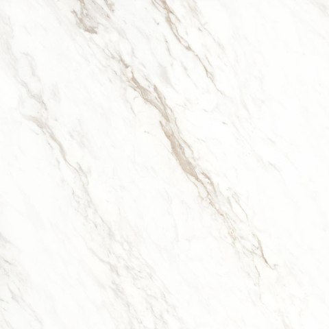 ARGENTA HERA WHITE POLISHED RC 60X60 ARGENTA HERA WHITE POLISHED RC 60X60
