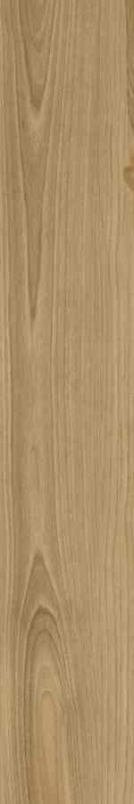 STARGRES DREAMWOOD REKT. 20X120 STARGRES DREAMWOOD REKT. 20X120