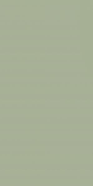 Paradyż FEELINGS GREEN SCIANA REKT. 29,8X59,8 (30x30)