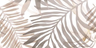 Ceramika Color CALACATTA ORO DEKOR 60X60