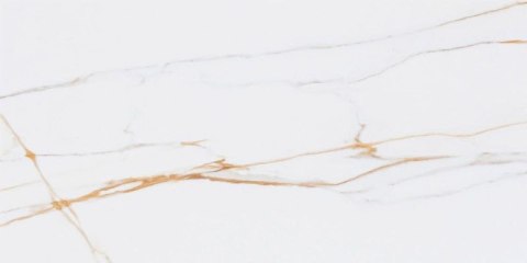CERMASTIC CORIENTO GOLD LAPPATO GRS.376B.L 60X120