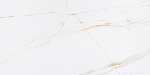 CERAMSTIC CORIENTO GOLD MAT GRS.376B.M 120X60 CERAMSTIC CORIENTO GOLD MAT GRS.376B.M 120X60