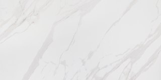 CERMASTIC CORIENTO WHITE MAT GRS.376A.M 120X60