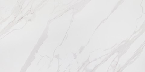 CERMASTIC CORIENTO WHITE MAT GRS.376A.M 120X60 CERMASTIC CORIENTO WHITE MAT GRS.376A.M 120X60