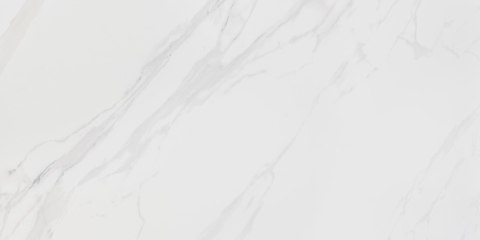 CERMASTIC CORIENTO WHITE MAT GRS.376A.M 120X60 CERMASTIC CORIENTO WHITE MAT GRS.376A.M 120X60