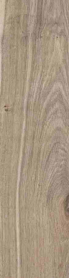 STARGRES DUBLIN ALMOND 15,5X62 STARGRES DUBLIN ALMOND 15,5X62