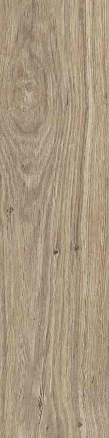 STARGRES DUBLIN ALMOND 15,5X62 STARGRES DUBLIN ALMOND 15,5X62