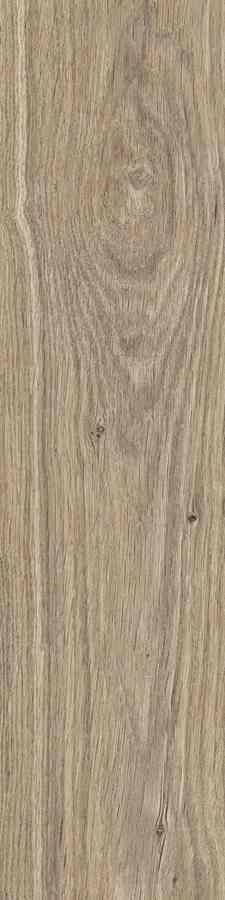 STARGRES DUBLIN ALMOND 15,5X62 STARGRES DUBLIN ALMOND 15,5X62
