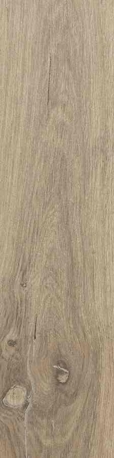 STARGRES DUBLIN ALMOND 15,5X62 STARGRES DUBLIN ALMOND 15,5X62