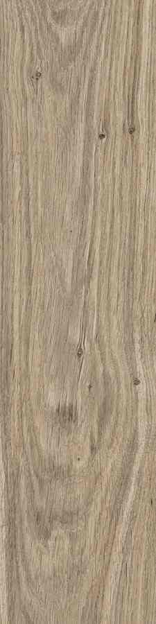 STARGRES DUBLIN ALMOND 15,5X62 STARGRES DUBLIN ALMOND 15,5X62