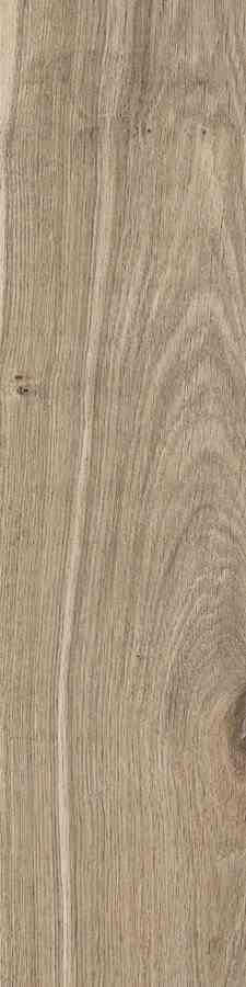 STARGRES DUBLIN ALMOND 15,5X62 STARGRES DUBLIN ALMOND 15,5X62