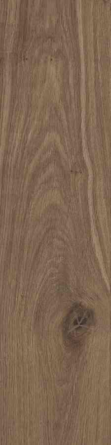 STARGRES DUBLIN BROWN 15,5X62