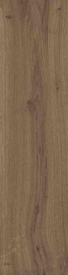 STARGRES DUBLIN BROWN 15,5X62