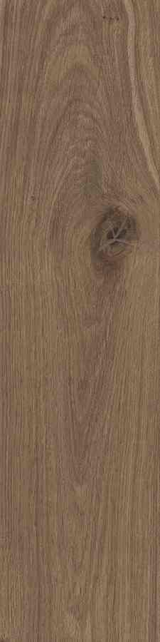 STARGRES DUBLIN BROWN 15,5X62