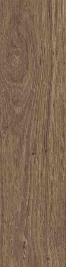 STARGRES DUBLIN BROWN 15,5X62