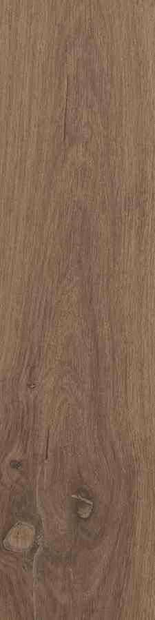 STARGRES DUBLIN BROWN 15,5X62