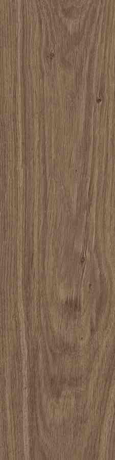 STARGRES DUBLIN BROWN 15,5X62