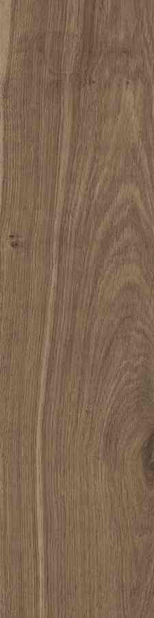 STARGRES DUBLIN BROWN 15,5X62