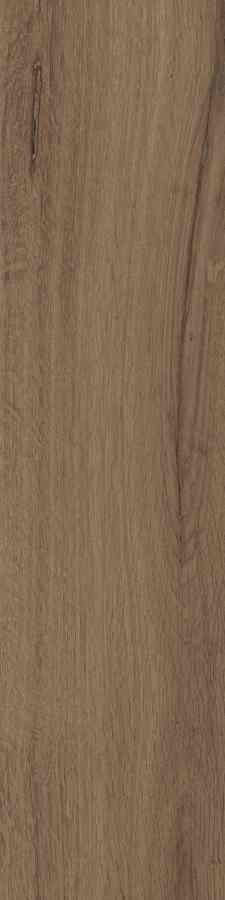 STARGRES DUBLIN BROWN 15,5X62