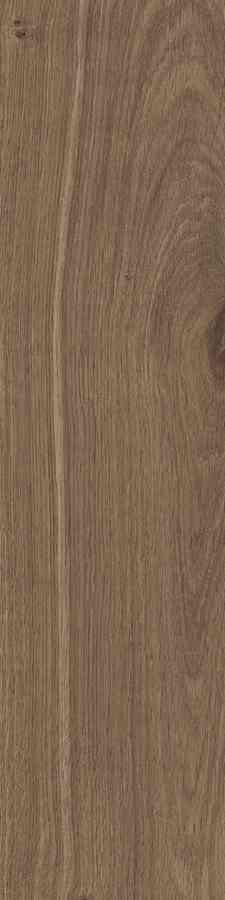 STARGRES DUBLIN BROWN 15,5X62