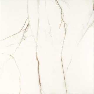 DOMINO (TUBĄDZIN) FLORIS WHITE R. 59,8x59,8 (60x60)