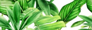 CERAMICA BIANCA GARDEN TROPIC DEKOR A RETT. 25x75