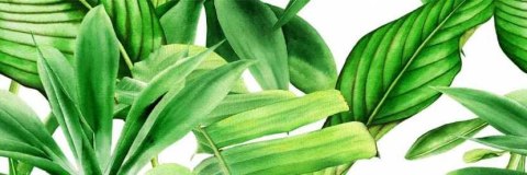 CERAMICA BIANCA GARDEN TROPIC DEKOR A RETT. 25x75 CERAMICA BIANCA GARDEN TROPIC DEKOR A RETT. 25x75