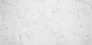 DOMINO (TUBĄDZIN) LILY WHITE 29,8X59,8 (30x60)