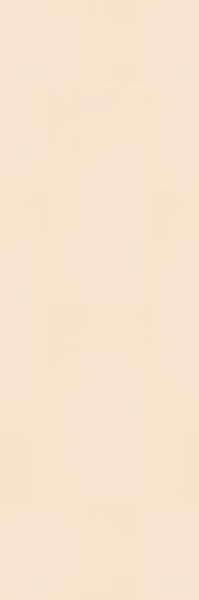 Paradyż NEVE BEIGE SCIANA REKT. MAT. 29,8X89,8 (30x90)