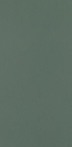 Paradyż NEVE CREATIVE DARK GREEN SCIANA MAT 9,8X19,8