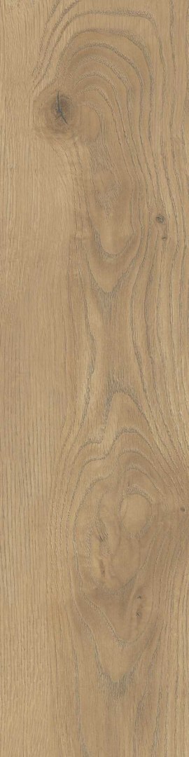 STARGRES TAIGA HONEY GRES SZKL. REKT. 30X120 STARGRES TAIGA HONEY GRES SZKL. REKT. 30X120