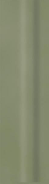 Paradyż GREEN PHILOSOPHY OLIVE COKOL MAT 8X29,8 (8x30)