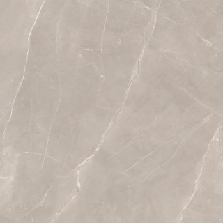Paradyż My Way RITUAL TAUPE GRES SZKL. REKT. MAT 120X120