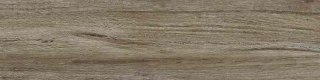 STARGRES SIENA GRIGIA 15,5X62