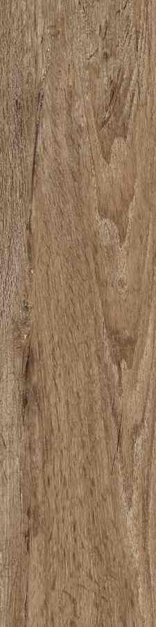 STARGRES SIENA MARRONE 15,5X62 STARGRES SIENA MARRONE 15,5X62