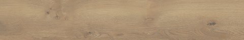 STARGRES TAIGA HONEY GRES SZKL. REKT. 20X120