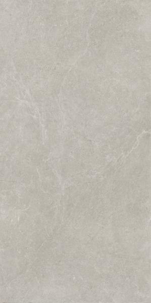 Paradyż U118 LIGHT GREY GRES SZKL. REKT. MAT. 59,8X119,8 (60x120)