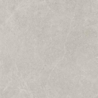 Paradyż U118 LIGHT GREY GRES SZKL. REKT. POLPOLER 59,8X59,8 (60x60)