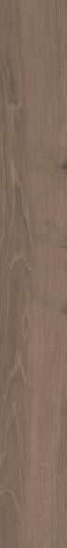 Paradyż WILDLAND DARK GRES SZKL. REKT. 19,8X119,8 (20x120)