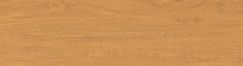 TAU MUST RAGUSA CARMEL COM. GL 20X75