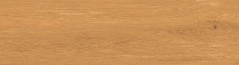 TAU MUST RAGUSA CARMEL COM. GL 20X75