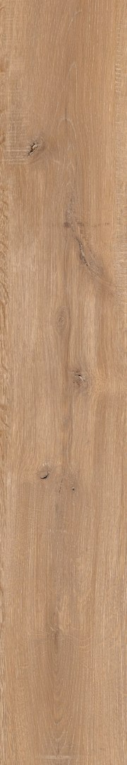 EPICENTR NEWCASTLE GOLD MATT 19,8X120 (20x120)