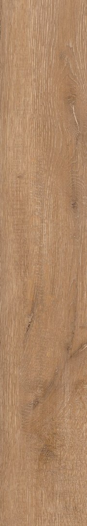 EPICENTR NEWCASTLE GOLD MATT 19,8X120 (20x120)