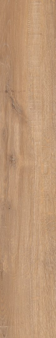 EPICENTR NEWCASTLE GOLD MATT 19,8X120 (20x120)