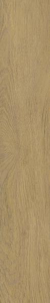 Paradyż SPACEWOOD GOLD GRES SZKL. REKT. STRUKTURA MAT. 19,8X119,8 (20x120)