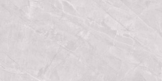 Ceramstic TIGRINA LIGHT GREY POLER 60X120